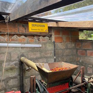 Cafe Cereza Whole Bean Coffee - 1 Pound from La Leona Farm, Colombia